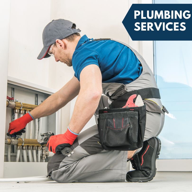 Dassel Plumbing Company